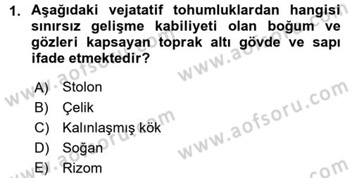 Tarla Bitkileri 1 Dersi 2018 - 2019 Yılı Yaz Okulu Sınav Soruları 1. Soru