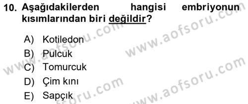 Tarla Bitkileri 1 Dersi 2018 - 2019 Yılı Yaz Okulu Sınav Soruları 10. Soru