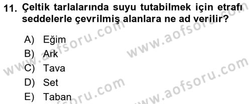 Tarla Bitkileri 1 Dersi 2018 - 2019 Yılı Yaz Okulu Sınav Soruları 11. Soru