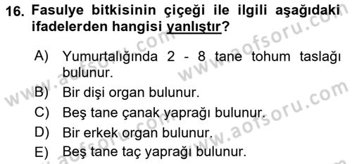 Tarla Bitkileri 1 Dersi 2018 - 2019 Yılı Yaz Okulu Sınav Soruları 16. Soru