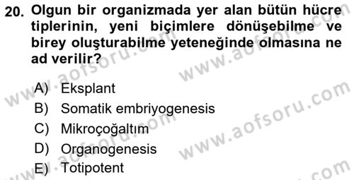 Tarla Bitkileri 1 Dersi 2018 - 2019 Yılı Yaz Okulu Sınav Soruları 20. Soru