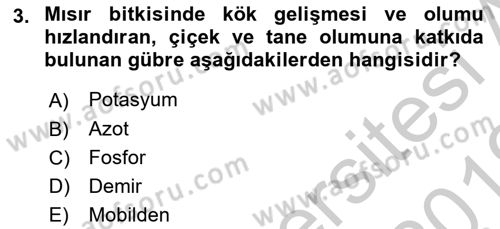 Tarla Bitkileri 1 Dersi 2018 - 2019 Yılı Yaz Okulu Sınav Soruları 3. Soru