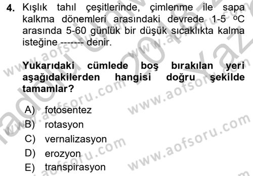 Tarla Bitkileri 1 Dersi 2018 - 2019 Yılı Yaz Okulu Sınav Soruları 4. Soru