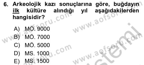 Tarla Bitkileri 1 Dersi 2018 - 2019 Yılı Yaz Okulu Sınav Soruları 6. Soru