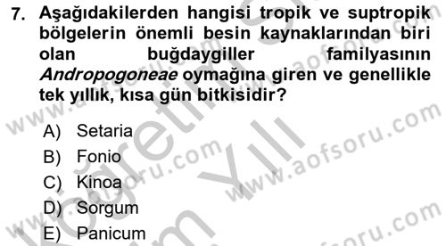 Tarla Bitkileri 1 Dersi 2018 - 2019 Yılı Yaz Okulu Sınav Soruları 7. Soru