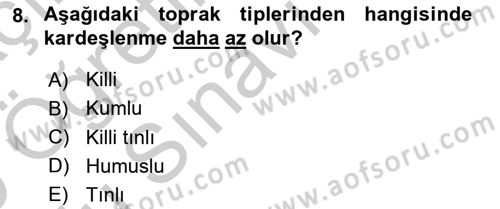 Tarla Bitkileri 1 Dersi 2018 - 2019 Yılı Yaz Okulu Sınav Soruları 8. Soru