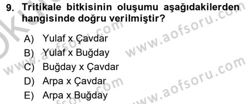 Tarla Bitkileri 1 Dersi 2018 - 2019 Yılı Yaz Okulu Sınav Soruları 9. Soru