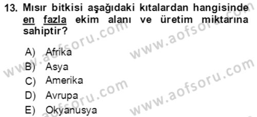 Tarla Bitkileri 1 Dersi 2019 - 2020 Yılı (Vize) Ara Sınavı 13. Soru