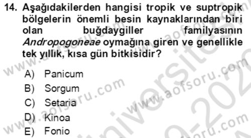 Tarla Bitkileri 1 Dersi 2019 - 2020 Yılı (Vize) Ara Sınavı 14. Soru