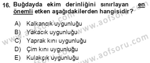 Tarla Bitkileri 1 Dersi 2019 - 2020 Yılı (Vize) Ara Sınavı 16. Soru