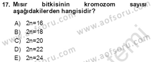 Tarla Bitkileri 1 Dersi 2019 - 2020 Yılı (Vize) Ara Sınavı 17. Soru