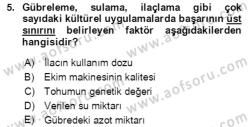 Tarla Bitkileri 1 Dersi 2019 - 2020 Yılı (Vize) Ara Sınavı 5. Soru