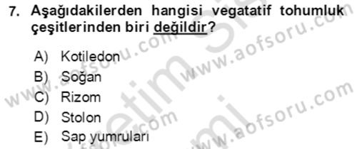 Tarla Bitkileri 1 Dersi 2019 - 2020 Yılı (Vize) Ara Sınavı 7. Soru