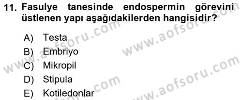 Tarla Bitkileri 1 Dersi 2019 - 2020 Yılı (Final) Dönem Sonu Sınav Soruları 11. Soru