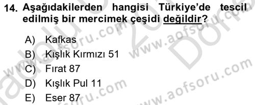 Tarla Bitkileri 1 Dersi 2019 - 2020 Yılı (Final) Dönem Sonu Sınav Soruları 14. Soru