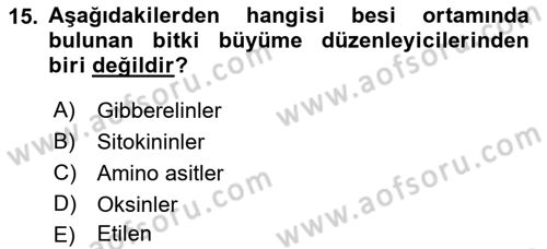 Tarla Bitkileri 1 Dersi 2019 - 2020 Yılı (Final) Dönem Sonu Sınav Soruları 15. Soru