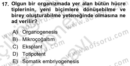 Tarla Bitkileri 1 Dersi 2019 - 2020 Yılı (Final) Dönem Sonu Sınav Soruları 17. Soru