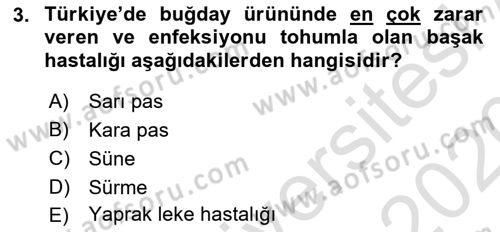 Tarla Bitkileri 1 Dersi 2019 - 2020 Yılı (Final) Dönem Sonu Sınav Soruları 3. Soru