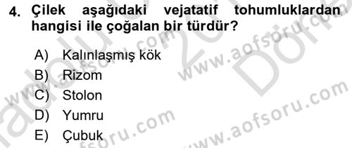 Tarla Bitkileri 1 Dersi 2019 - 2020 Yılı (Final) Dönem Sonu Sınav Soruları 4. Soru