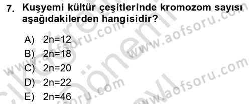 Tarla Bitkileri 1 Dersi 2019 - 2020 Yılı (Final) Dönem Sonu Sınav Soruları 7. Soru
