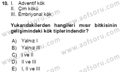 Tarla Bitkileri 1 Dersi 2020 - 2021 Yılı Yaz Okulu Sınav Soruları 10. Soru