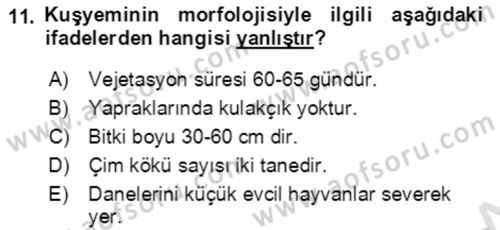 Tarla Bitkileri 1 Dersi 2020 - 2021 Yılı Yaz Okulu Sınav Soruları 11. Soru