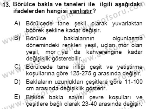 Tarla Bitkileri 1 Dersi 2020 - 2021 Yılı Yaz Okulu Sınav Soruları 13. Soru