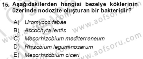 Tarla Bitkileri 1 Dersi 2020 - 2021 Yılı Yaz Okulu Sınav Soruları 15. Soru