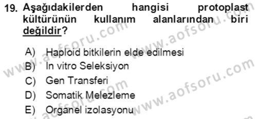 Tarla Bitkileri 1 Dersi 2020 - 2021 Yılı Yaz Okulu Sınav Soruları 19. Soru
