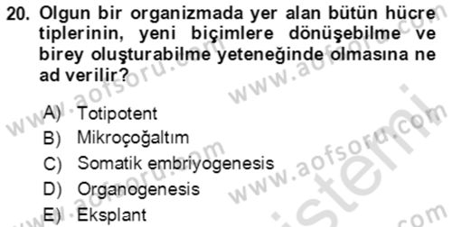 Tarla Bitkileri 1 Dersi 2020 - 2021 Yılı Yaz Okulu Sınav Soruları 20. Soru