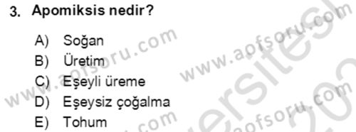 Tarla Bitkileri 1 Dersi 2020 - 2021 Yılı Yaz Okulu Sınav Soruları 3. Soru