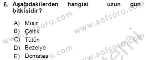 Tarla Bitkileri 1 Dersi 2020 - 2021 Yılı Yaz Okulu Sınav Soruları 6. Soru