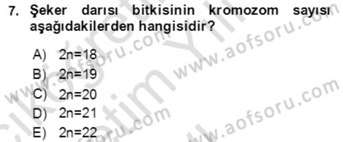 Tarla Bitkileri 1 Dersi 2020 - 2021 Yılı Yaz Okulu Sınav Soruları 7. Soru