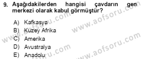 Tarla Bitkileri 1 Dersi 2020 - 2021 Yılı Yaz Okulu Sınav Soruları 9. Soru