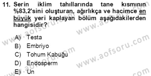 Tarla Bitkileri 1 Dersi 2021 - 2022 Yılı (Vize) Ara Sınav Soruları 11. Soru