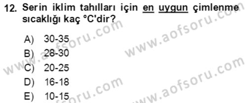 Tarla Bitkileri 1 Dersi 2021 - 2022 Yılı (Vize) Ara Sınav Soruları 12. Soru