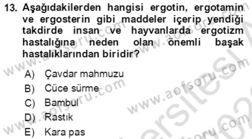 Tarla Bitkileri 1 Dersi 2021 - 2022 Yılı (Vize) Ara Sınav Soruları 13. Soru
