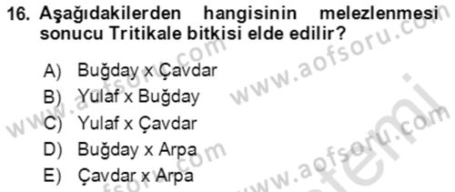 Tarla Bitkileri 1 Dersi 2021 - 2022 Yılı (Vize) Ara Sınav Soruları 16. Soru