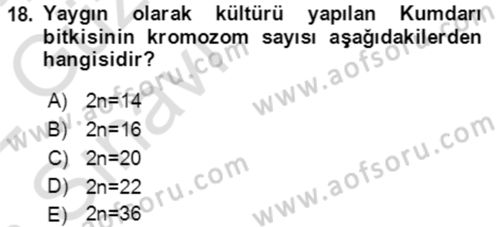 Tarla Bitkileri 1 Dersi 2021 - 2022 Yılı (Vize) Ara Sınav Soruları 18. Soru