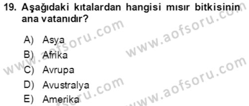 Tarla Bitkileri 1 Dersi 2021 - 2022 Yılı (Vize) Ara Sınav Soruları 19. Soru