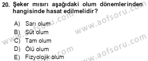 Tarla Bitkileri 1 Dersi 2021 - 2022 Yılı (Vize) Ara Sınav Soruları 20. Soru