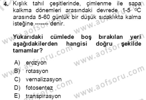 Tarla Bitkileri 1 Dersi 2021 - 2022 Yılı (Vize) Ara Sınav Soruları 4. Soru