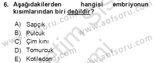 Tarla Bitkileri 1 Dersi 2021 - 2022 Yılı (Vize) Ara Sınav Soruları 6. Soru