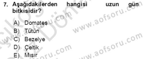 Tarla Bitkileri 1 Dersi 2021 - 2022 Yılı (Vize) Ara Sınav Soruları 7. Soru