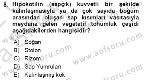 Tarla Bitkileri 1 Dersi 2021 - 2022 Yılı (Vize) Ara Sınav Soruları 8. Soru