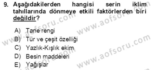 Tarla Bitkileri 1 Dersi 2021 - 2022 Yılı (Vize) Ara Sınav Soruları 9. Soru