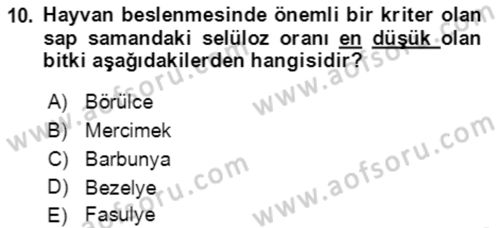 Tarla Bitkileri 1 Dersi 2021 - 2022 Yılı (Final) Dönem Sonu Sınav Soruları 10. Soru