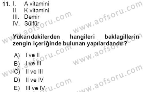 Tarla Bitkileri 1 Dersi 2021 - 2022 Yılı (Final) Dönem Sonu Sınav Soruları 11. Soru