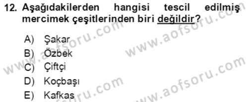 Tarla Bitkileri 1 Dersi 2021 - 2022 Yılı (Final) Dönem Sonu Sınav Soruları 12. Soru