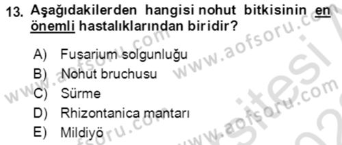 Tarla Bitkileri 1 Dersi 2021 - 2022 Yılı (Final) Dönem Sonu Sınav Soruları 13. Soru
